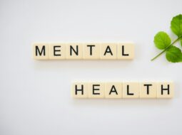 Tom Walter Wake Forest