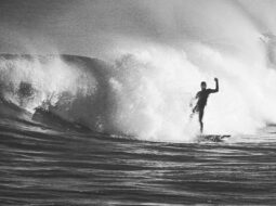 From Draft to Victory Fresh Talent Making Waves in Today’s Sports World